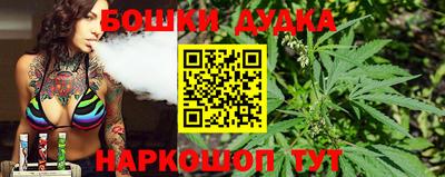 МДПВ Будённовск