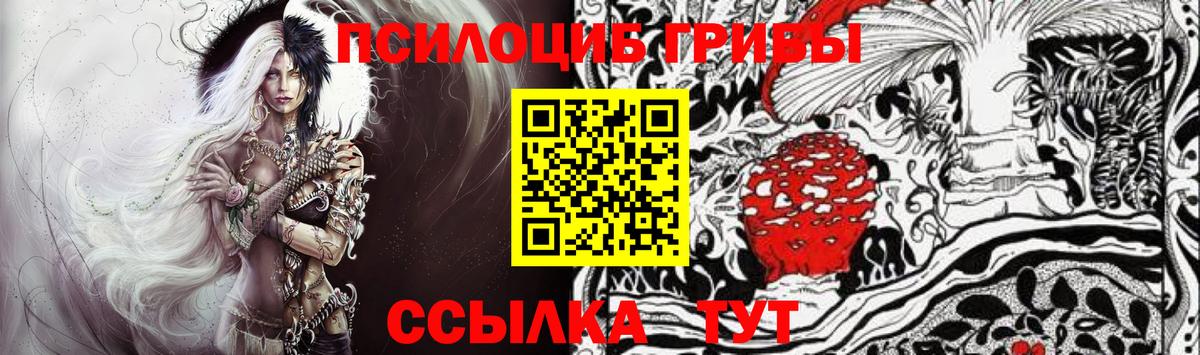 Чайковский  Псилоцибиновые грибы Psilocybe  Вход с VPN 