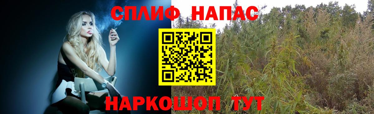 Чайковский  Бошки марихуана план  Вход с VPN  Конопля OG Kush  МАРИХУАНА индика 